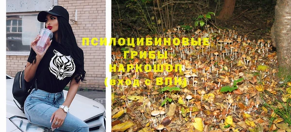 шишки Сосновый Бор