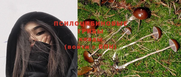 кокс Сосновка